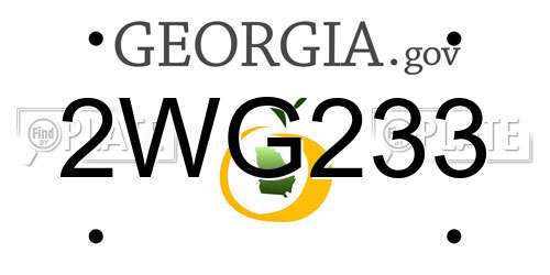 2WG233 Georgia License Plate