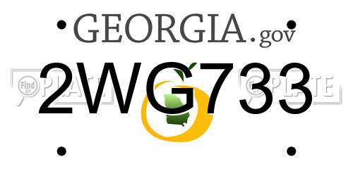 2WG733 Georgia License Plate