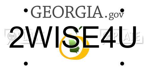 2WISE4U Georgia License Plate
