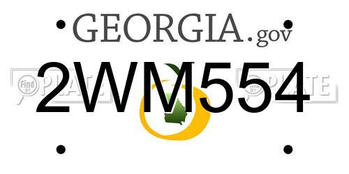 2WM554 Georgia License Plate