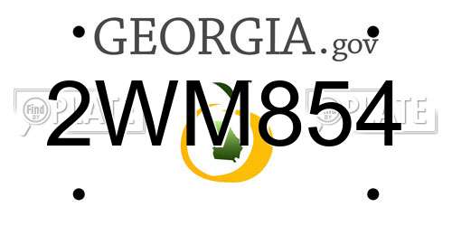 2WM854 Georgia License Plate