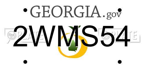 2WMS54 Georgia License Plate