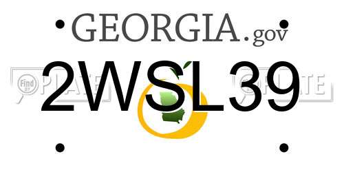 2WSL39 Georgia License Plate