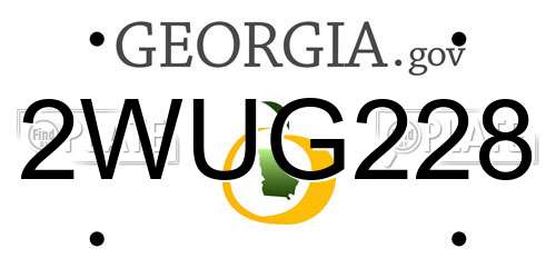 2WUG228 Georgia License Plate