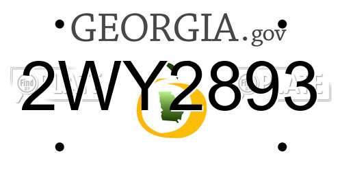 2WY2893 Georgia License Plate