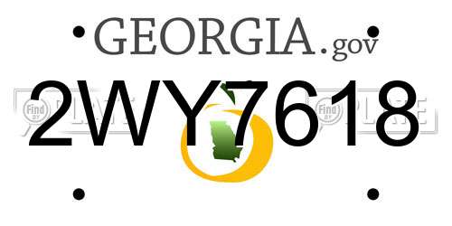 2WY7618 Georgia License Plate