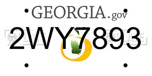 2WY7893 Georgia License Plate