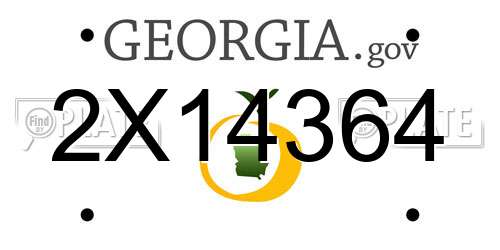 2X14364 Georgia License Plate