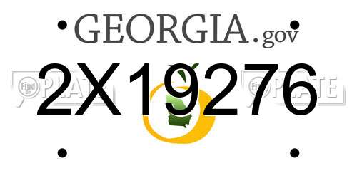 2X19276 Georgia License Plate