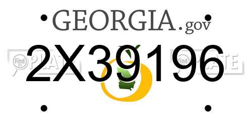 2X39196 Georgia License Plate