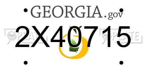 2X40715 Georgia License Plate