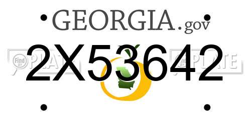 2X53642 Georgia License Plate