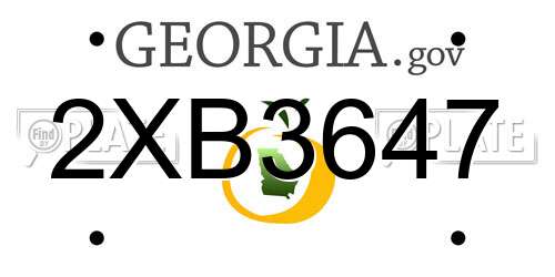 2XB3647 Georgia License Plate