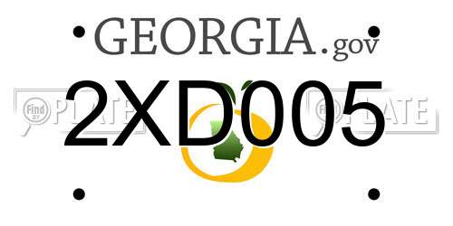2XD005 Georgia License Plate