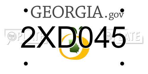 2XD045 Georgia License Plate