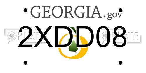 2XDD08 Georgia License Plate
