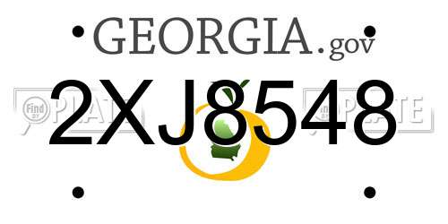 2XJ8548 Georgia License Plate