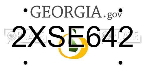 2XSE642 Georgia License Plate