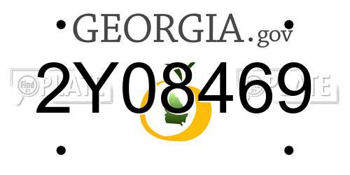 2Y08469 Georgia License Plate