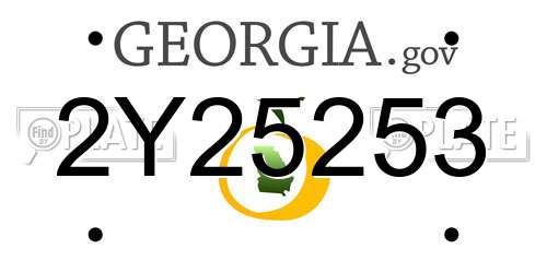 2Y25253 Georgia License Plate