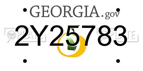 2Y25783 Georgia License Plate