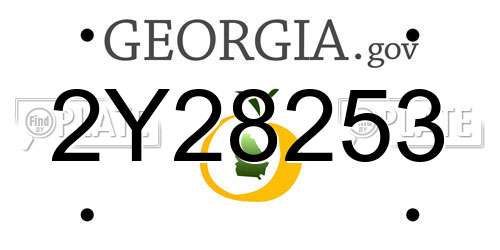 2Y28253 Georgia License Plate