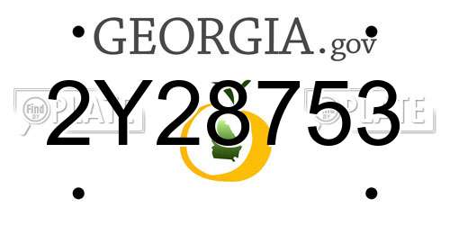 2Y28753 Georgia License Plate