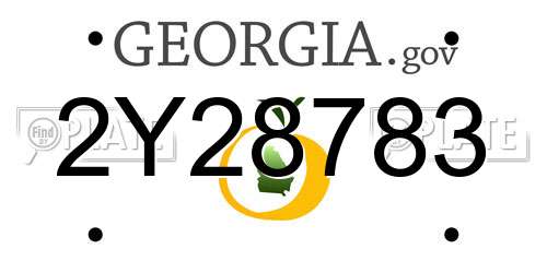 2Y28783 Georgia License Plate