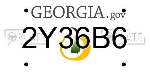 2Y36B6 Georgia License Plate