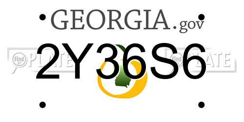 2Y36S6 Georgia License Plate