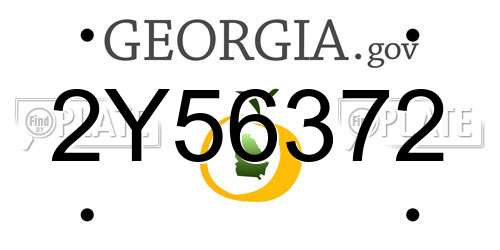 2Y56372 Georgia License Plate