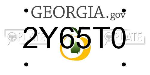 2Y65T0 Georgia License Plate