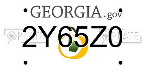 2Y65Z0 Georgia License Plate