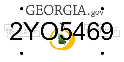 2YO5469 Georgia License Plate
