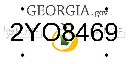 2YO8469 Georgia License Plate