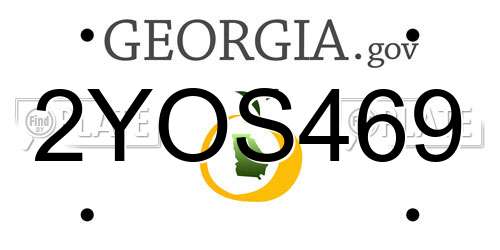 2YOS469 Georgia License Plate