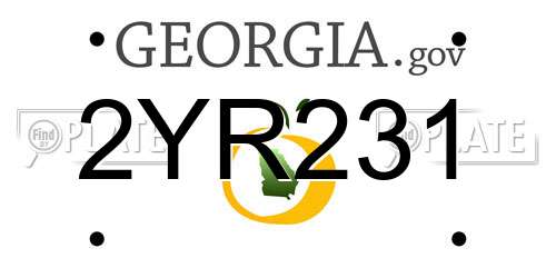 2YR231 Georgia License Plate