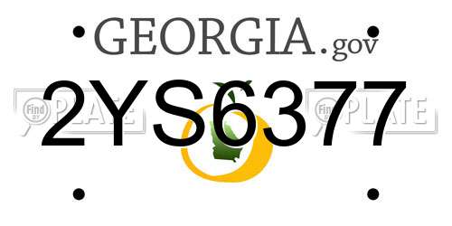 2YS6377 Georgia License Plate
