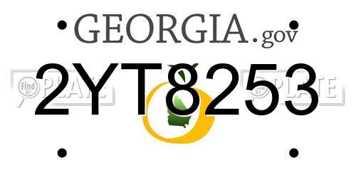 2YT8253 Georgia License Plate