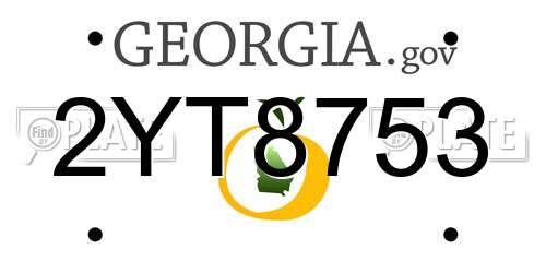 2YT8753 Georgia License Plate