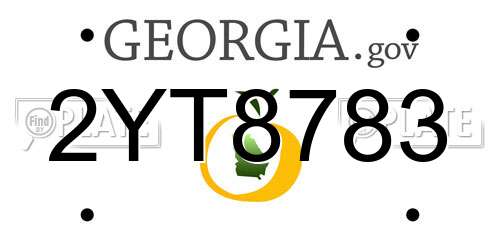 2YT8783 Georgia License Plate