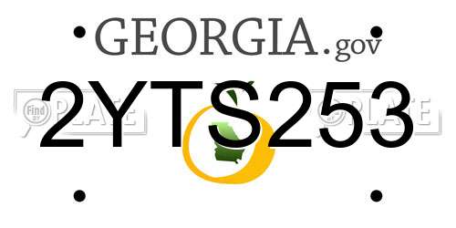 2YTS253 Georgia License Plate
