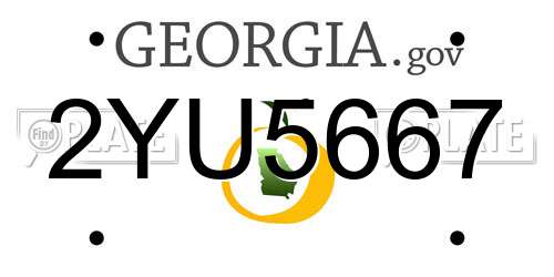 2YU5667 Georgia License Plate