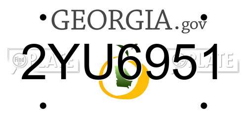 2YU6951 Georgia License Plate