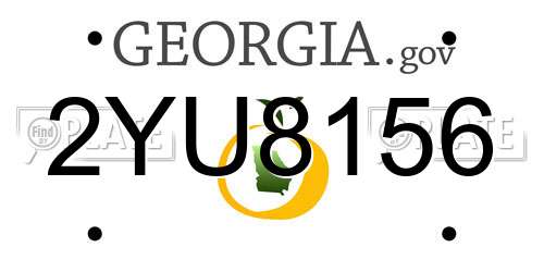 2YU8156 Georgia License Plate