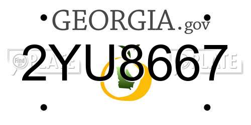2YU8667 Georgia License Plate