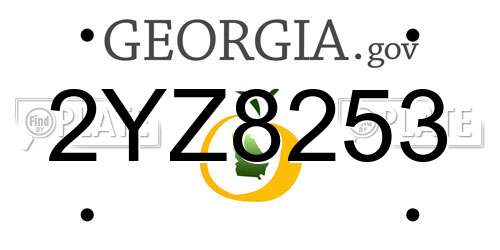 2YZ8253 Georgia License Plate