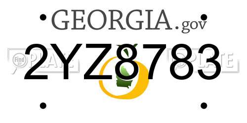 2YZ8783 Georgia License Plate