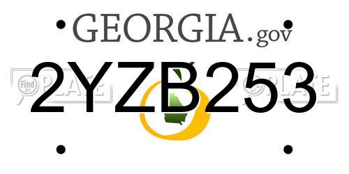 2YZB253 Georgia License Plate