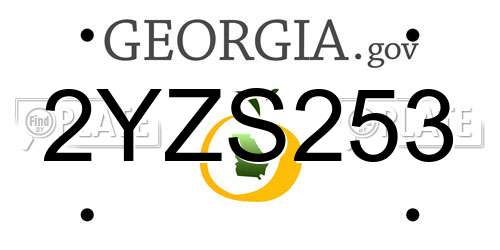 2YZS253 Georgia License Plate